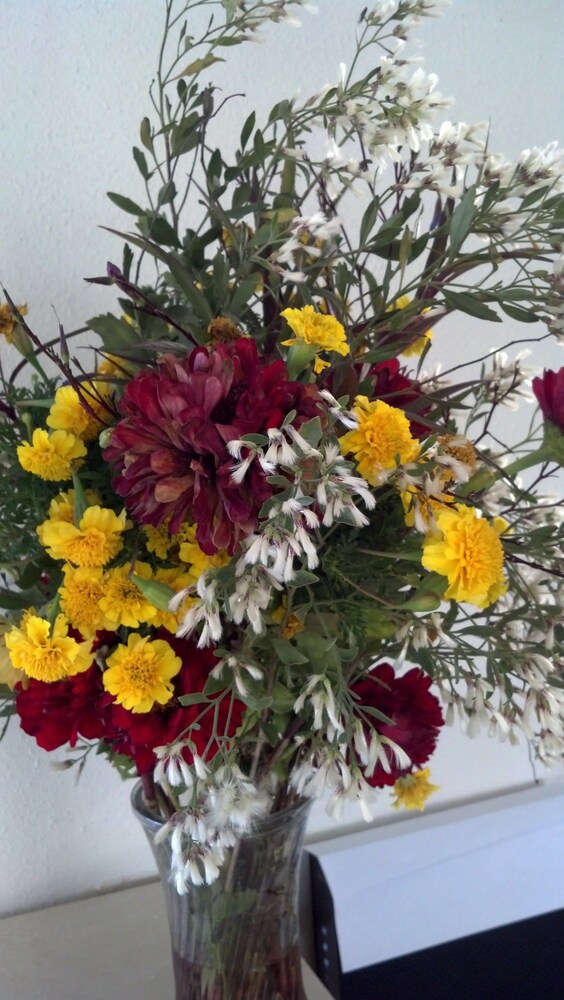 Jasmine Garden Inn - photo 58
