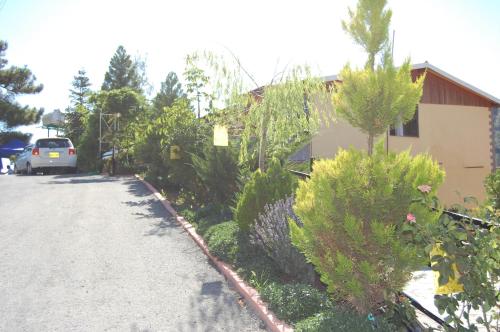 Nightingale Hotel in Kakopetria, Cyprus