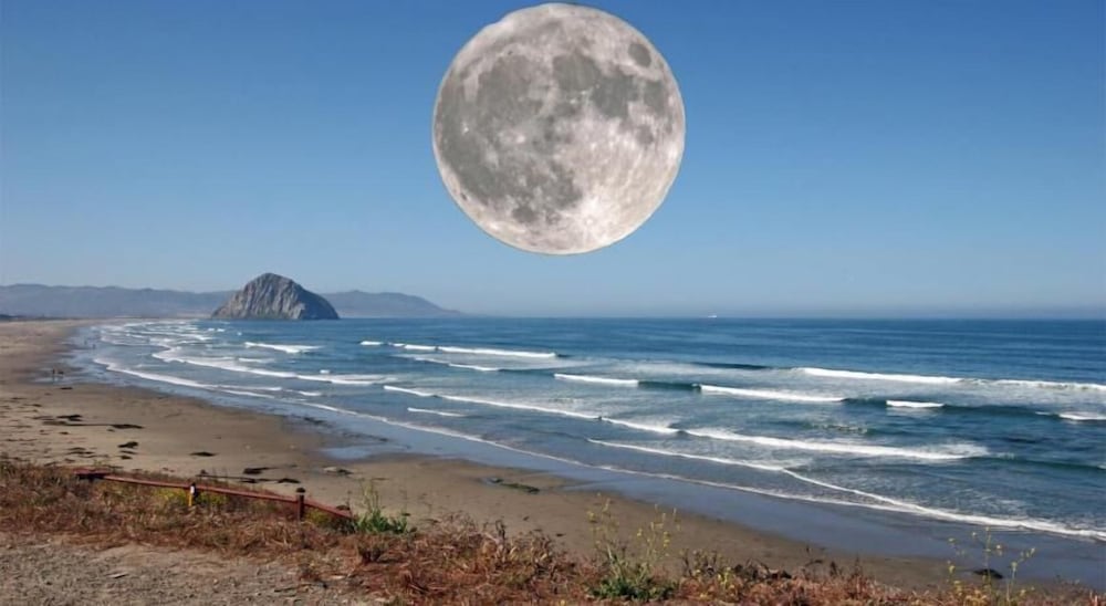 Morro Bay Beach Inn - photo 24