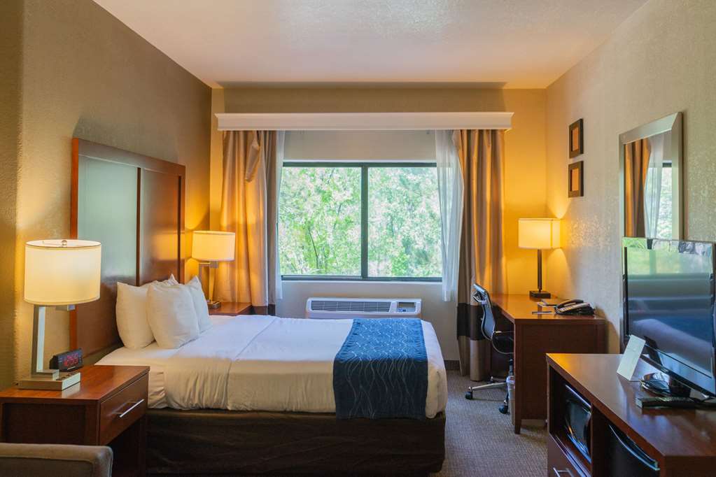 Comfort Inn North Air Force Academy Area - photo 11