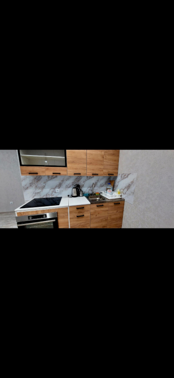 Mirzagitova D8 Flat - carbon neutral hotel in Ufa