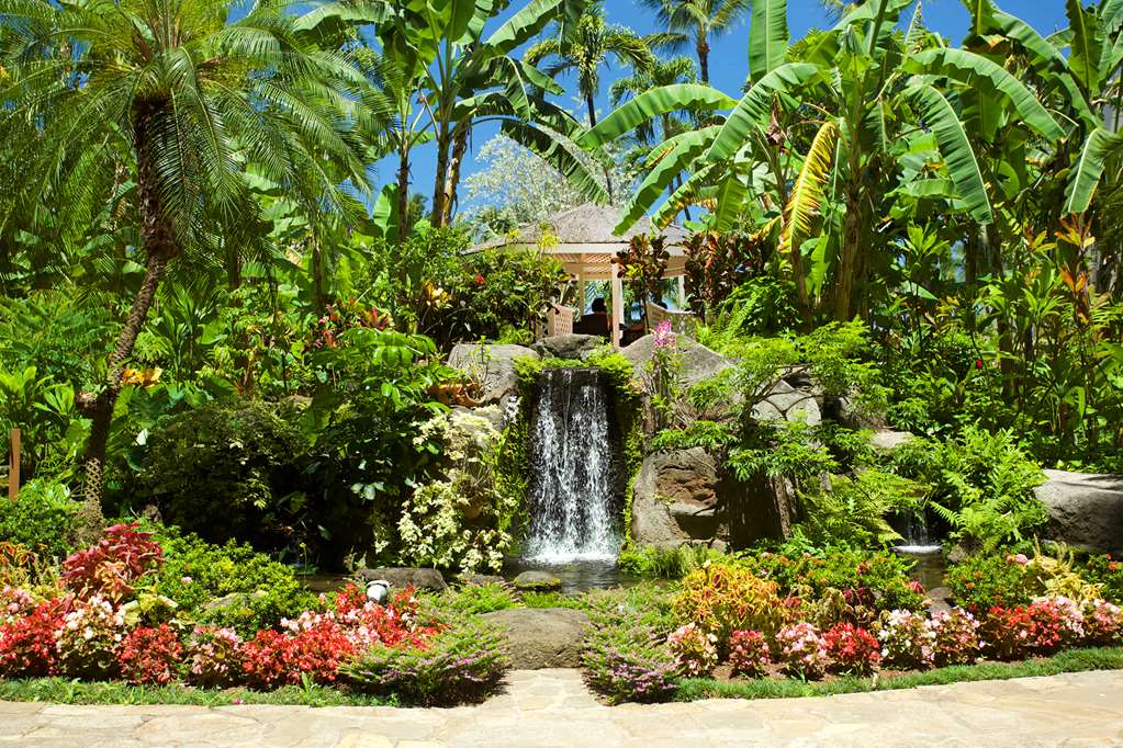 Aston Kaanapali Shores - photo 12