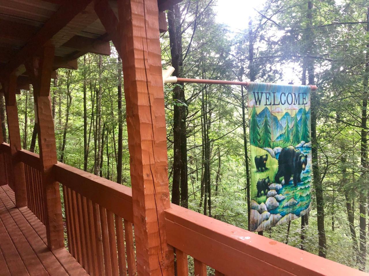Bearadise — Townsend — photo 4