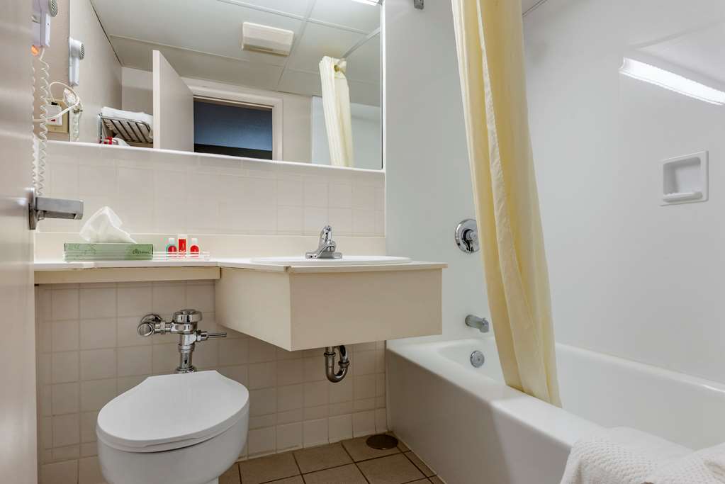 Econo Lodge Dewitt I 90 - photo 12