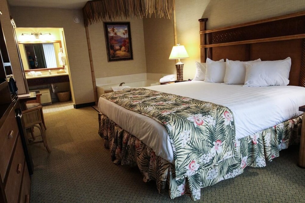 Maui Sands Resort & Indoor Waterpark - photo 28