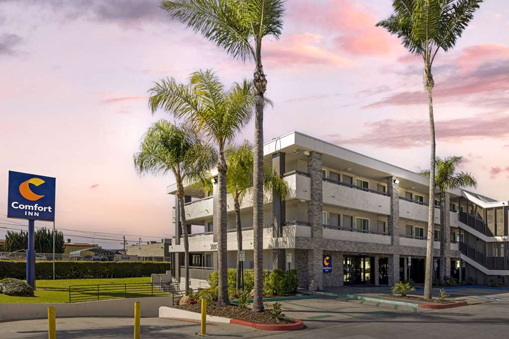 Comfort Inn Sea World Area - featured photo
