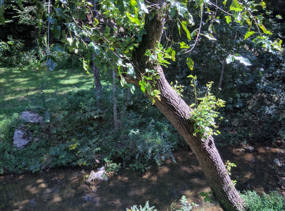 Sugar Creek Retreat - photo 50