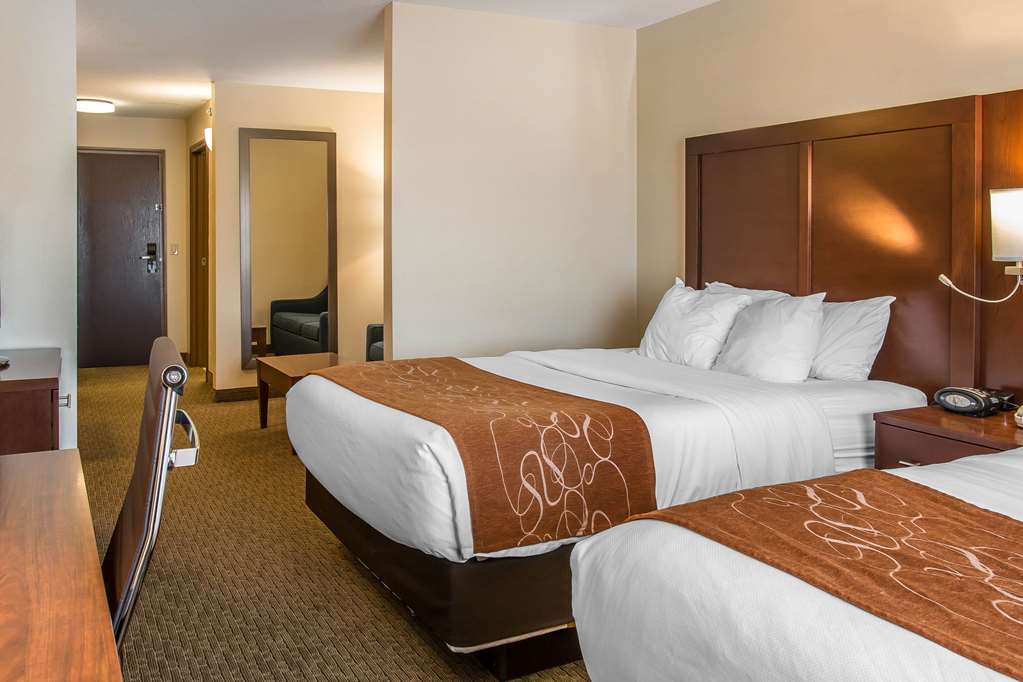 Comfort Suites Wixom Novi - photo 14
