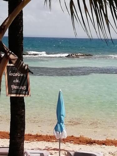 Studio kassav — 4-Star Luxury Hotel in Saint-Francois, Guadeloupe