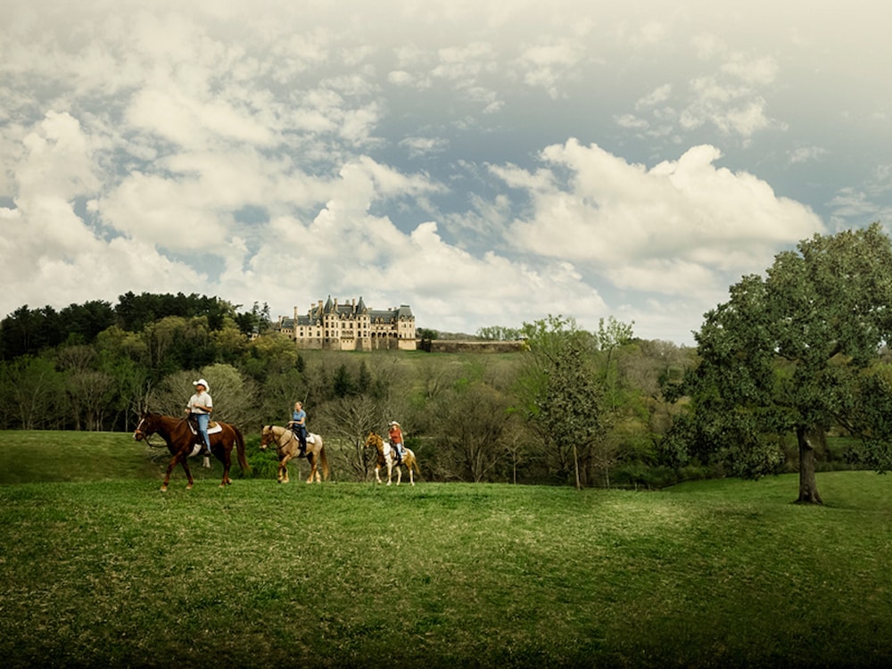 Village Hotel on Biltmore Estate - photo 34