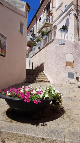 Monolocale II La Maddalena in La Maddalena, Italy