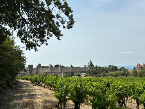 La Vade - last minute hotel in Carcassonne