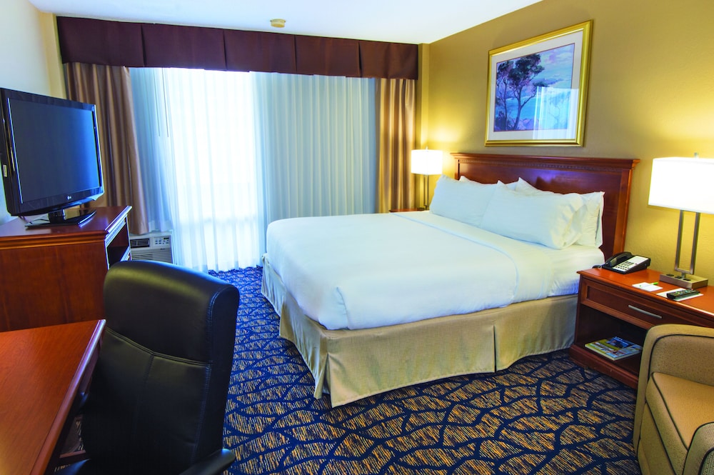 Holiday Inn Gainesville University Center an IHG Hotel - photo 2