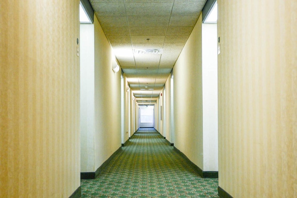 Greystone Inn and Suites - photo 21