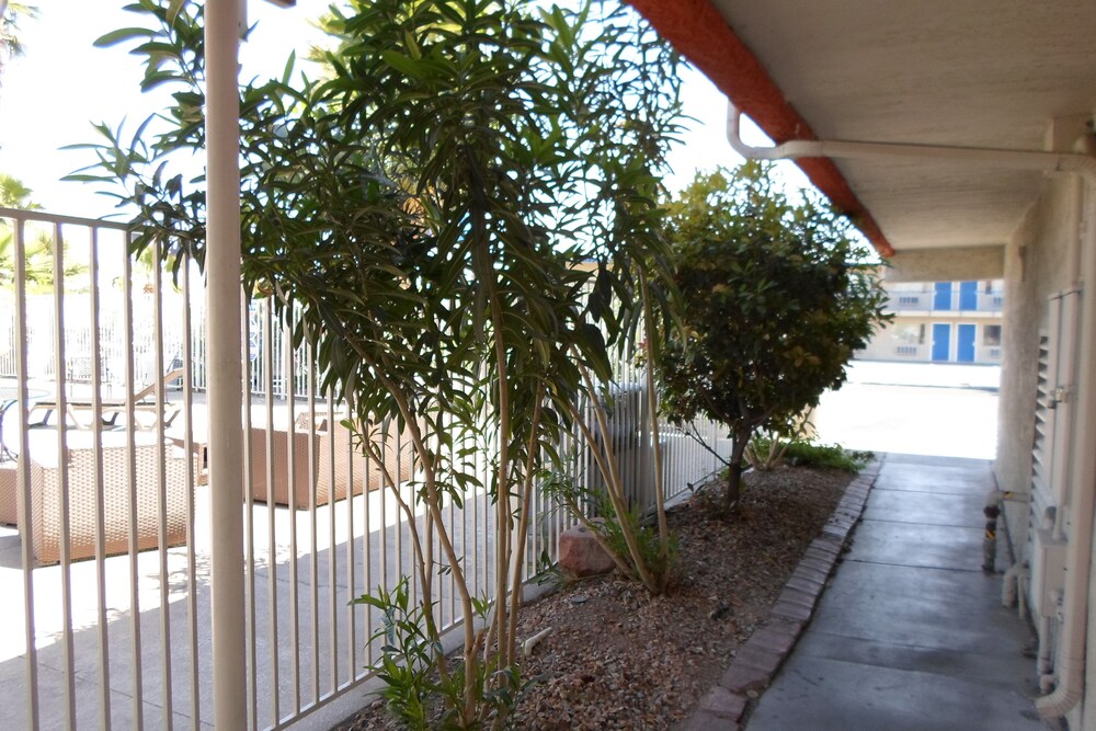 Motel 6 Las Vegas NV Strip - photo 56