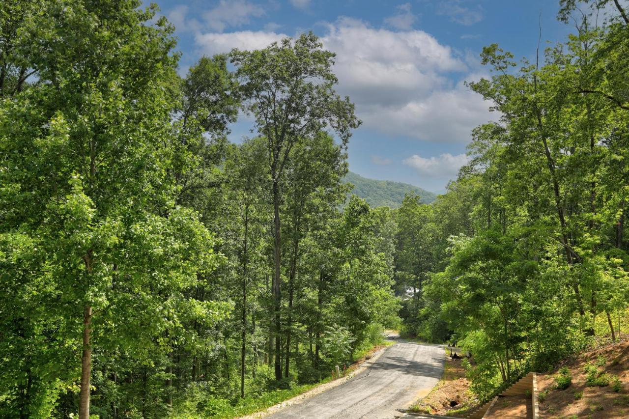 Blue Ridge Delight — Clayton