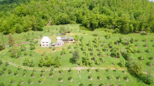 Kljajevica Orchard — Pljevlja — photo 4