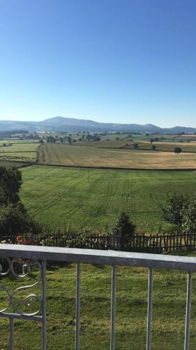 The View — Welshpool — photo 5