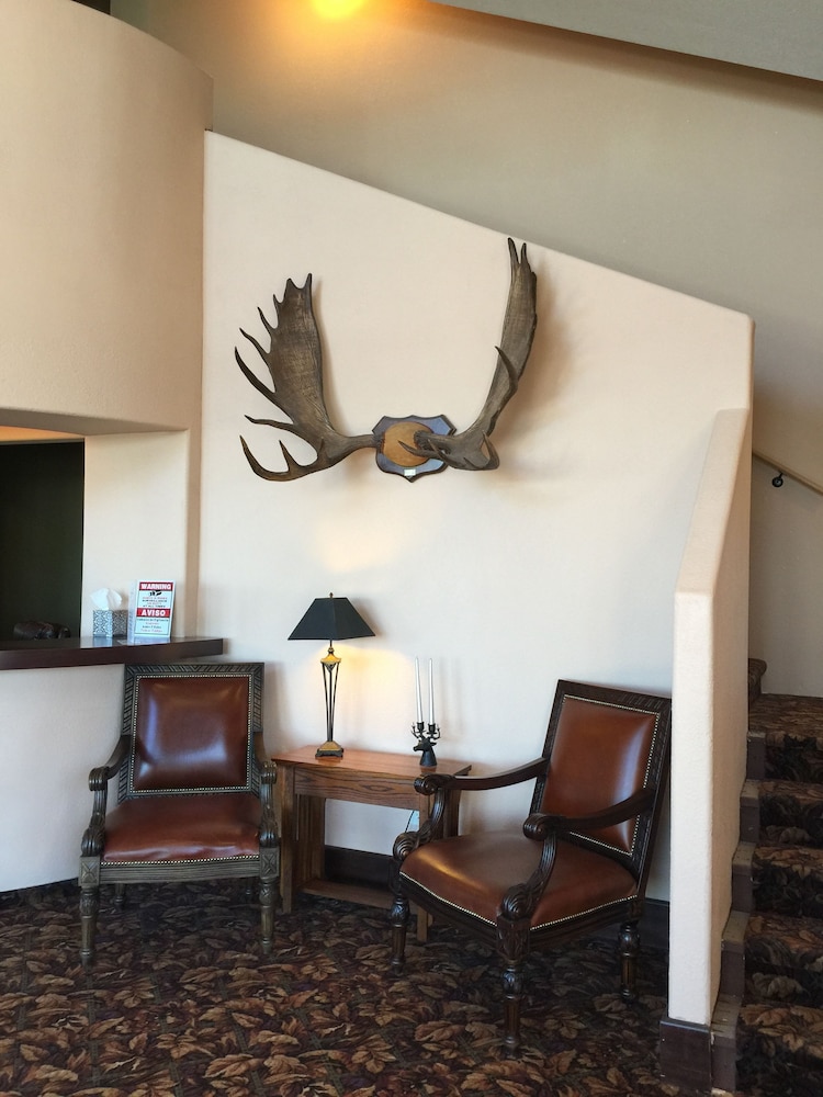 Kenai Airport Hotel - photo 4