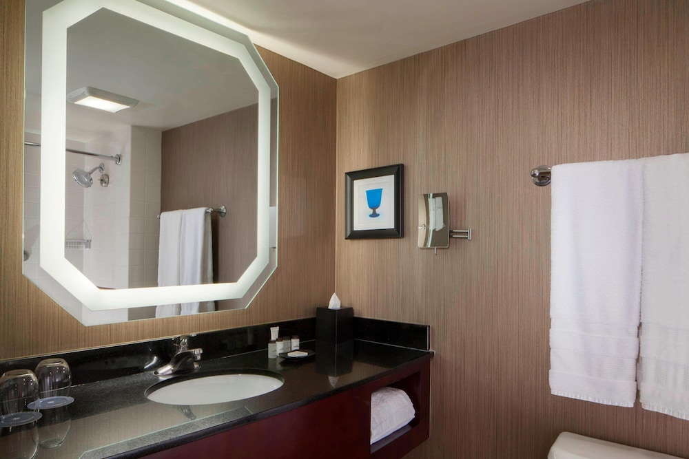 Sheraton DFW Airport Hotel - photo 23