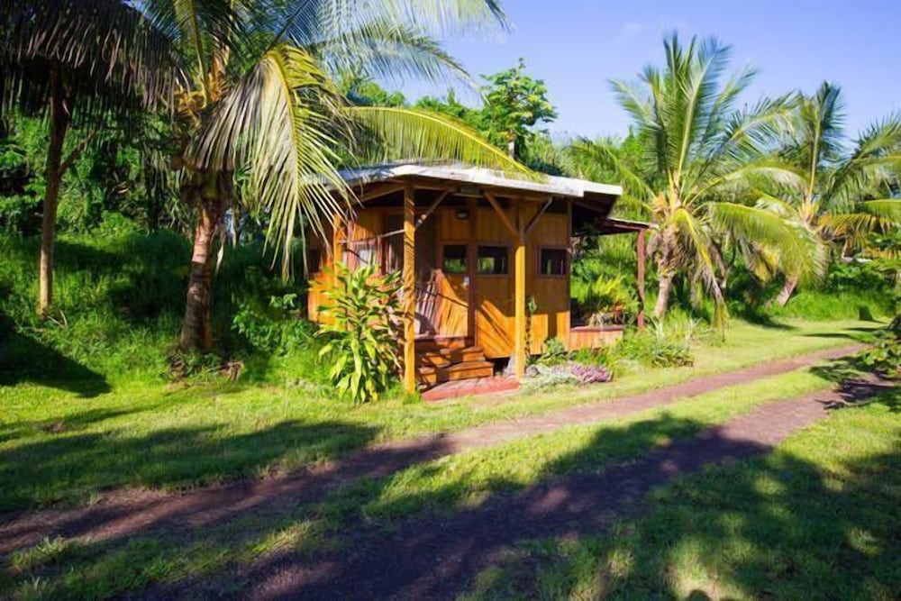 Kirpal Meditation and Ecological Center - photo 19