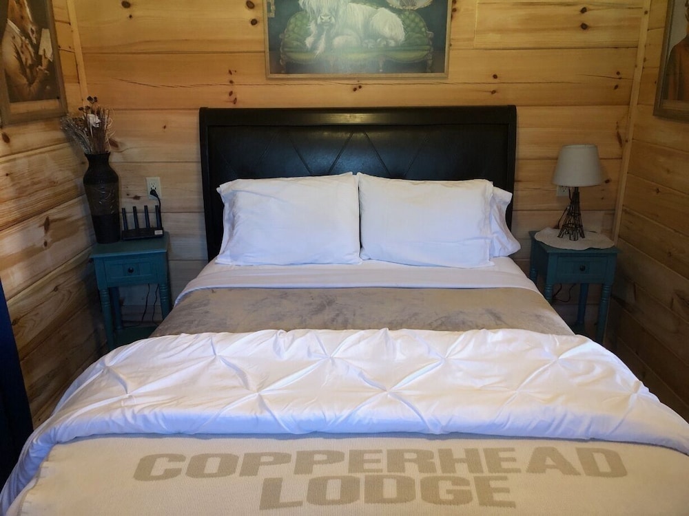 Copperhead Lodge and Resort Cabin Rentals - photo 11