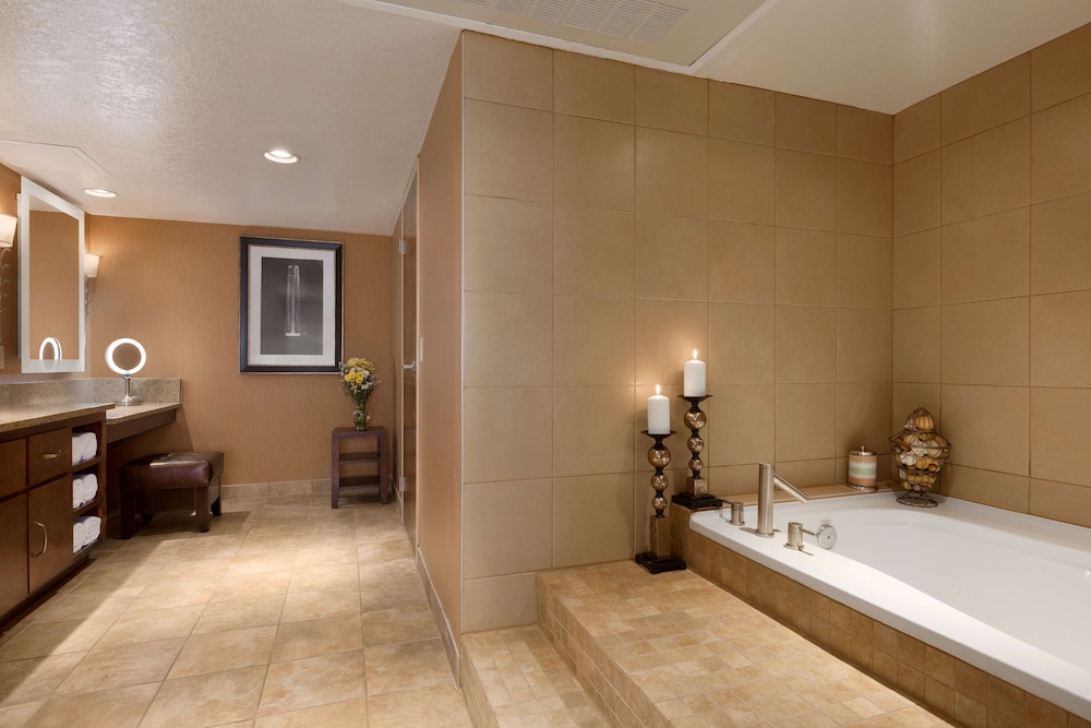 Embassy Suites by Hilton Kansas City International Airport - photo 44