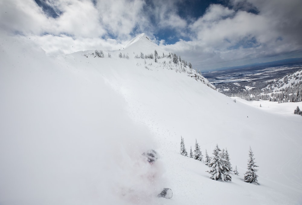 Targhee Lodge By Grand Targhee Resort - photo 22