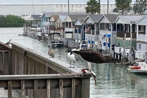 Casa Sharay — 4-Star Luxury Hotel in Port Isabel, United States