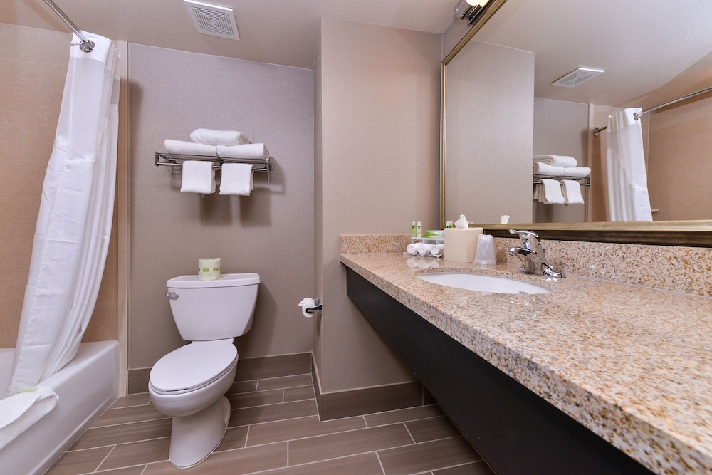 Holiday Inn Express & Suites Indio Coachella Valley by IHG - photo 38