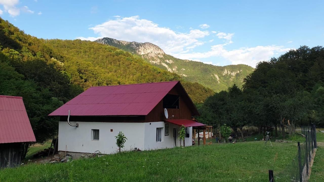 Cabana lui Foardă - last minute hotel in Unknown City