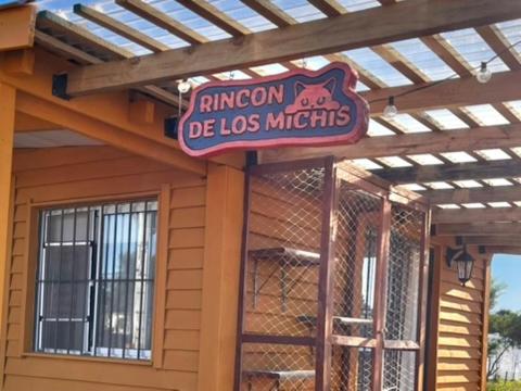 Rincon de los Michis — Unknown City — photo 2