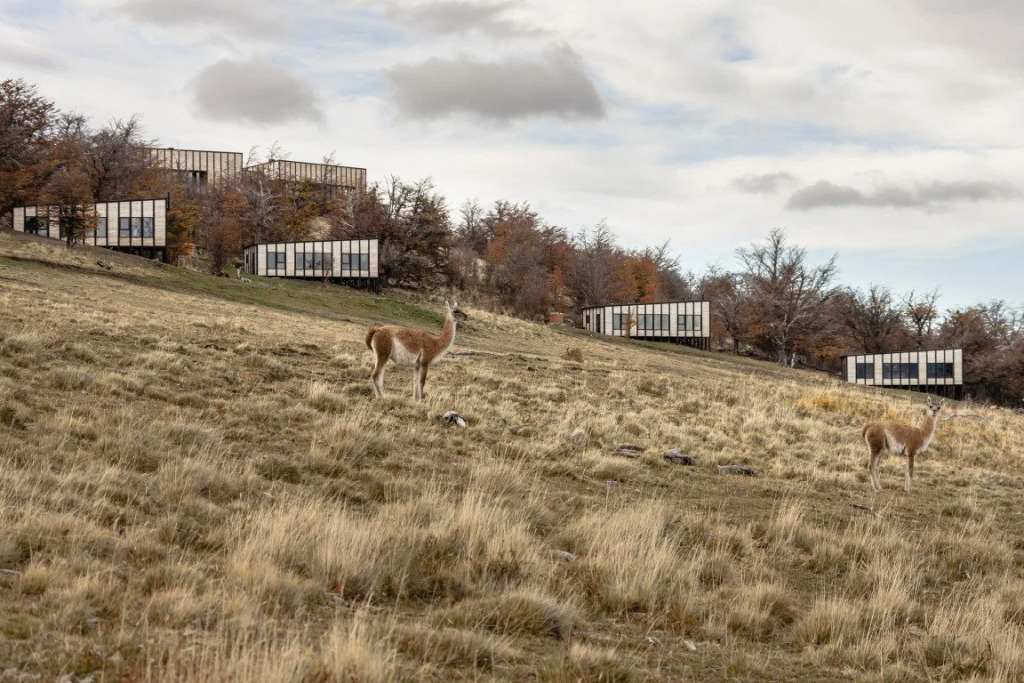 Awasi Patagônia in Unknown City, Chile