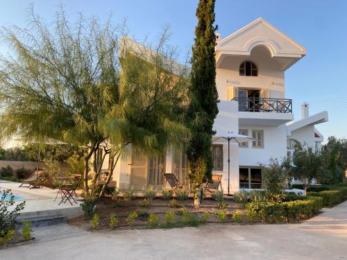 Aoni Suites — Aegina — photo 2