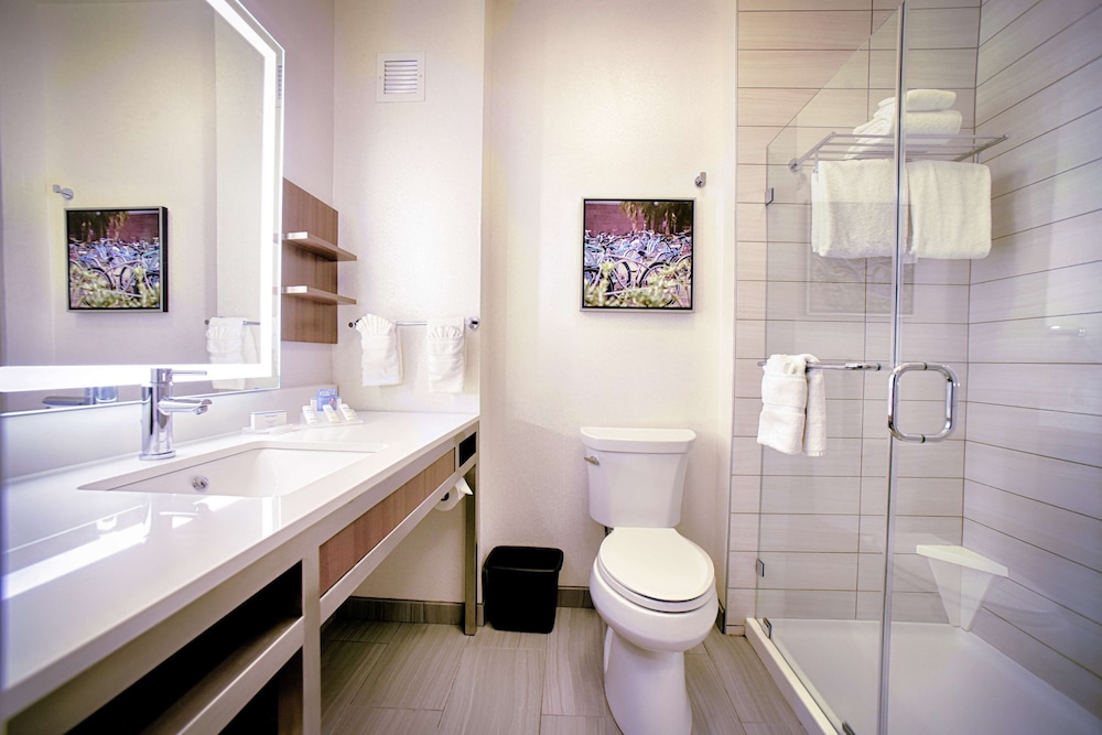 Hilton Garden Inn Santa Barbara Goleta - photo 40