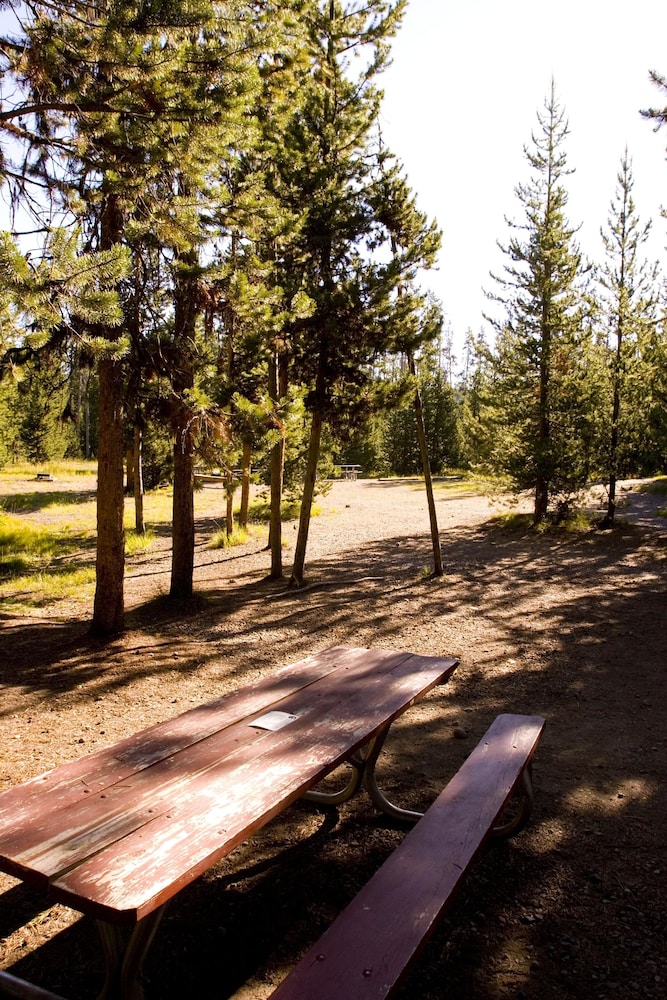 Headwater S Lodge Cabins At Flagg Ranch - photo 5