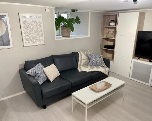 One bedroom basement apartment in the city — 4-Star Luxury Hotel in Tromso, Norway