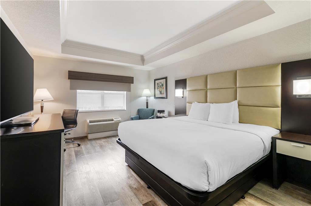 Best Western Plus JFK Inn & Suites - photo 42