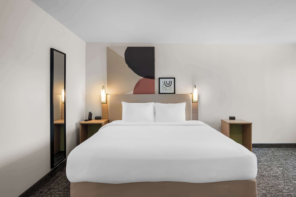 Comfort Inn Grapevine Near DFW Airport - photo 15