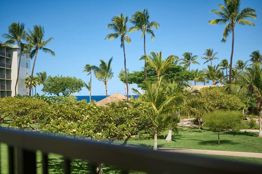 Outrigger Kaanapali Beach Resort - photo 85