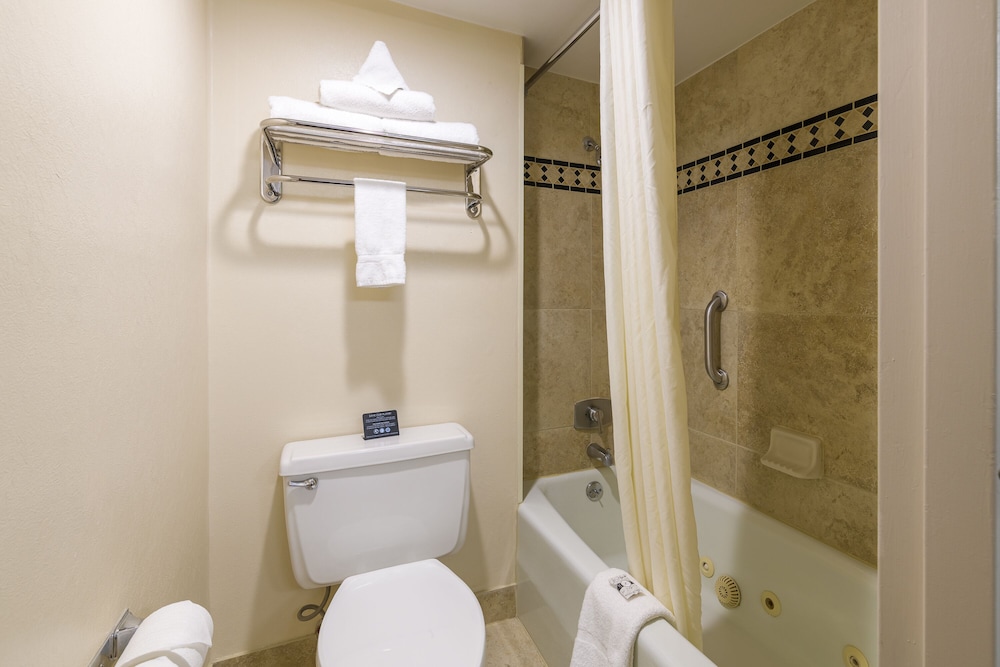 Grand Vista Hotel - photo 4