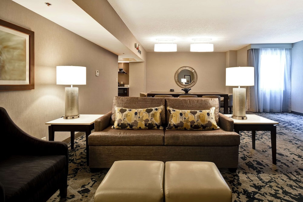 Embassy Suites by Hilton Raleigh Durham Research Triangle - photo 56