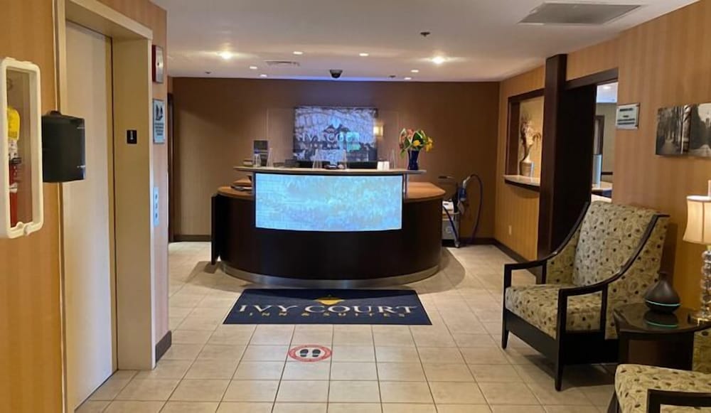 Ivy Court Inn & Suites - photo 4