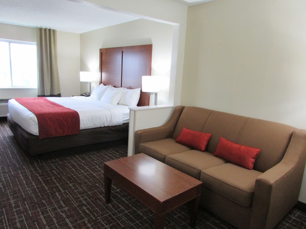 Comfort Inn Wichita Falls Near University - photo 6