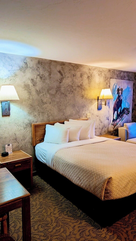 Browns Canyon Inn - photo 25