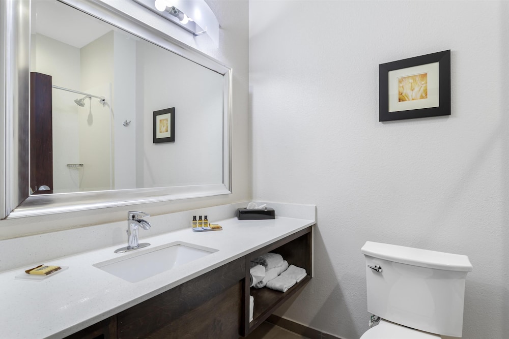 Best Western Plus Waller Hotel - photo 32