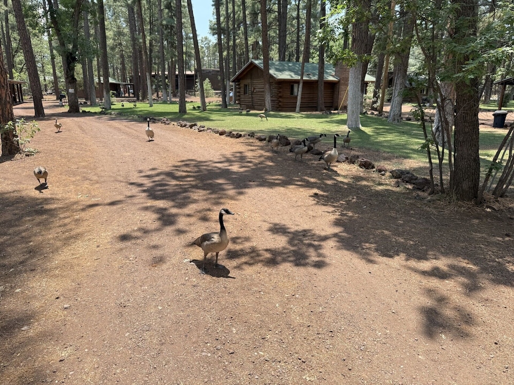 Lake of the Woods Resort - photo 24