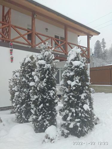 NestG Guest House — Pylypets — photo 3