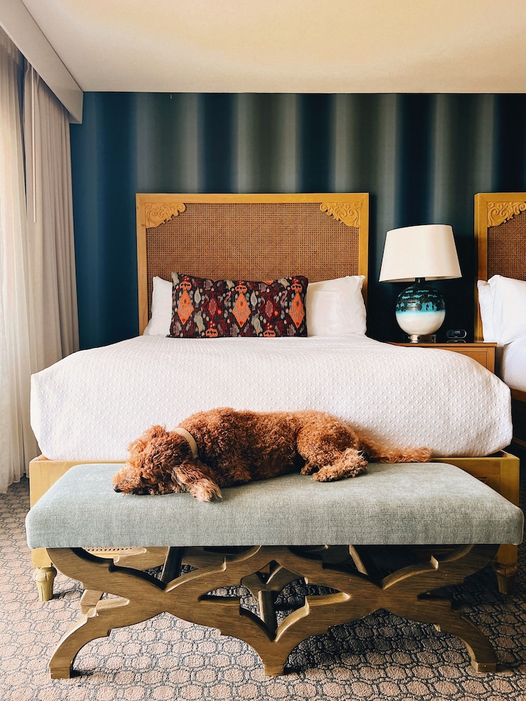 Spyglass Inn - photo 12