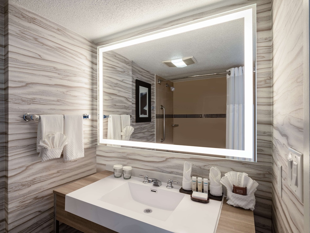 Embassy Suites by Hilton Baltimore Hunt Valley - photo 22